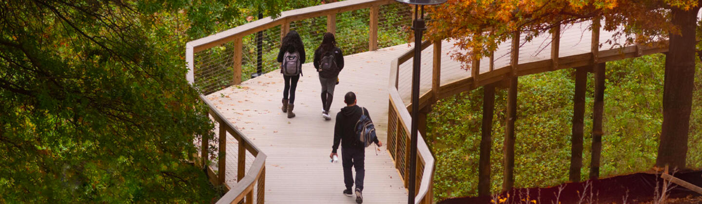 Students walking on boardwalk