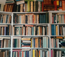Academic Reosurces on a Bookshelf